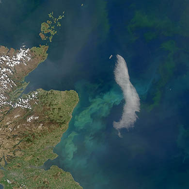 Phytoplankton bloom in North Sea